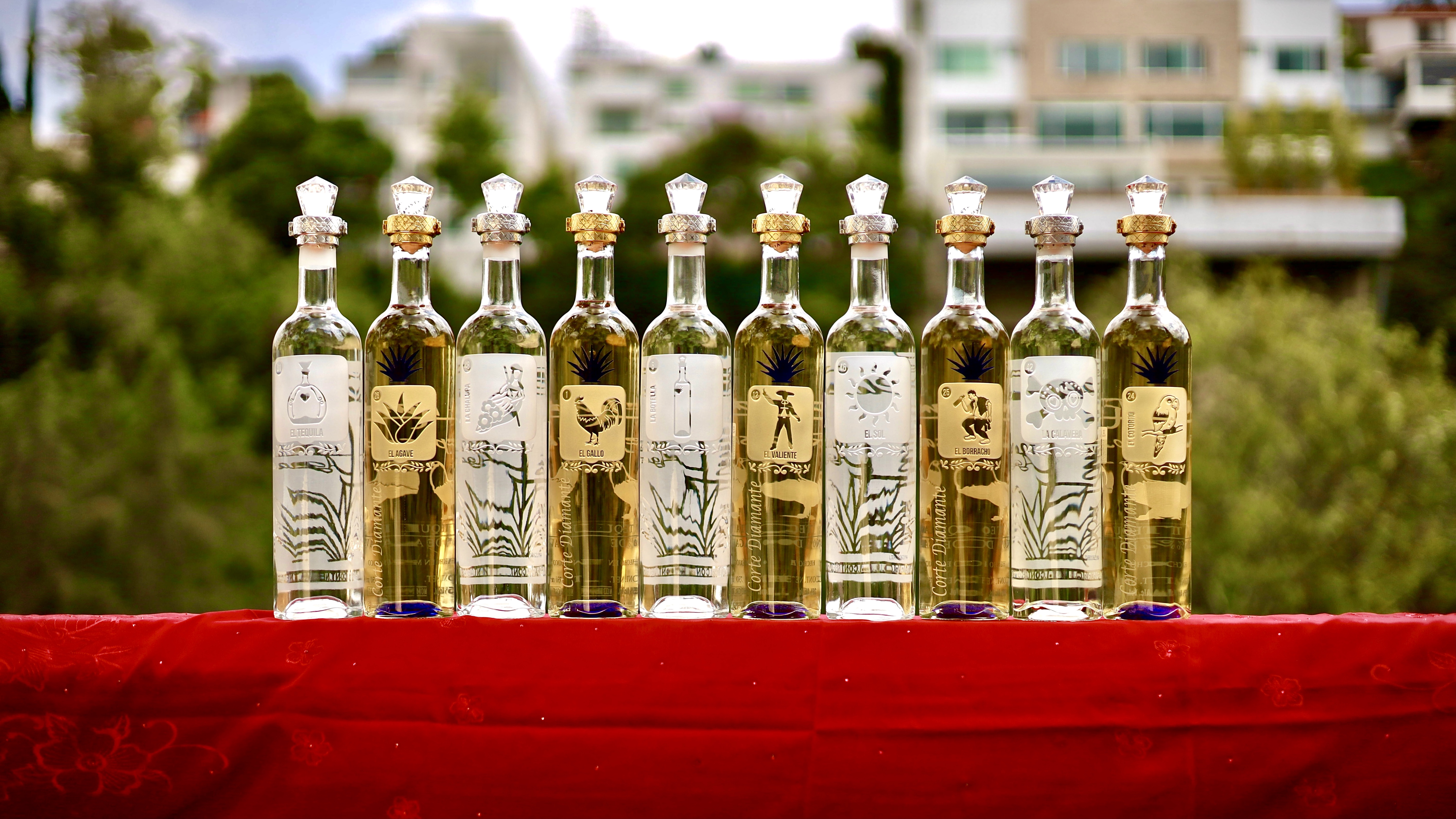 Imagen de fondo de casa Metl sobre una casa con un agave enorme y una mesa de madera en primer plano.